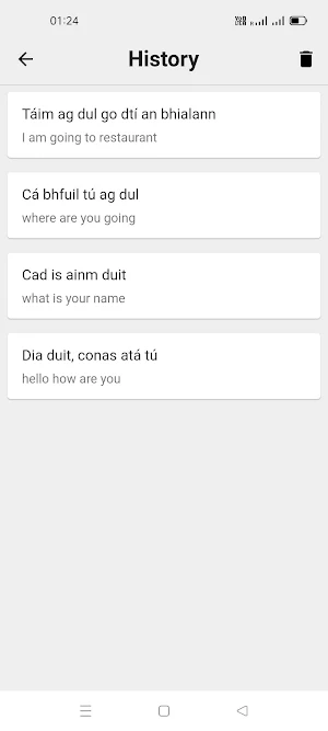 Irish To English Translator Screenshot 1