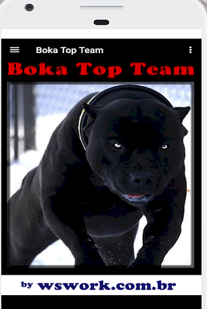 Boka Top Team Screenshot 2