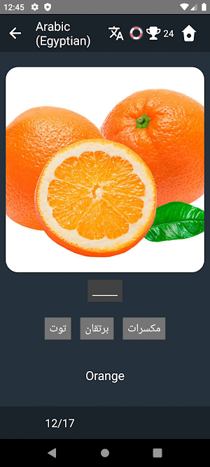 Egyptian Arabic Language Tests Screenshot 3