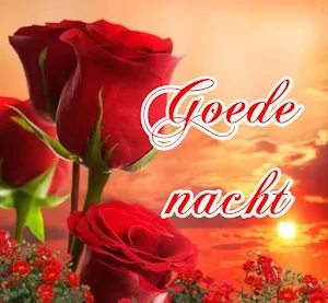 Goede nacht  Slaap lekker Screenshot 0