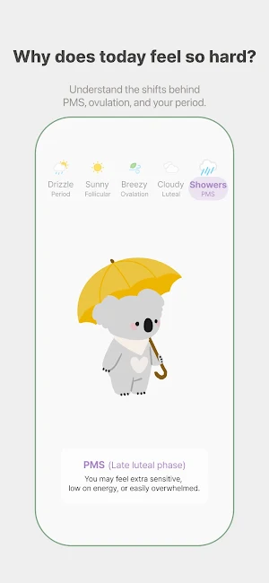 KokoRoom: Period PMS Reminder Screenshot 2