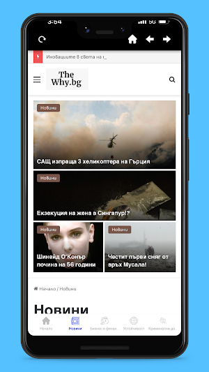 TheWhyBG Screenshot 2