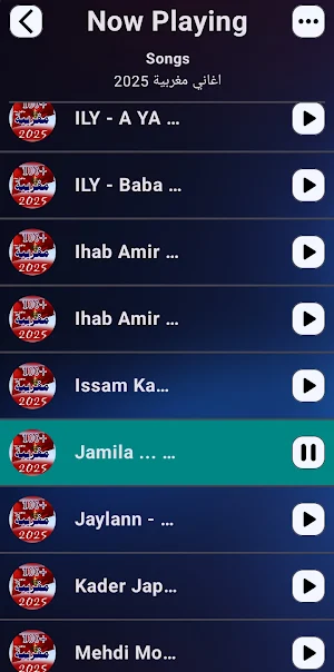 اغاني مغربية | 2025 بدون نت Screenshot 0