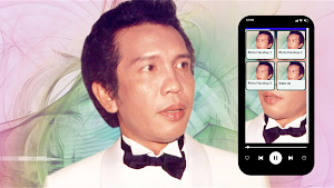 Rinto Harahap Mp3 Offline Screenshot 1