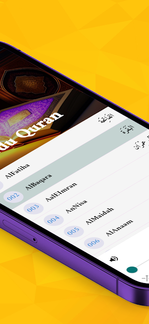 MP3 Quran in Urdu Screenshot 3