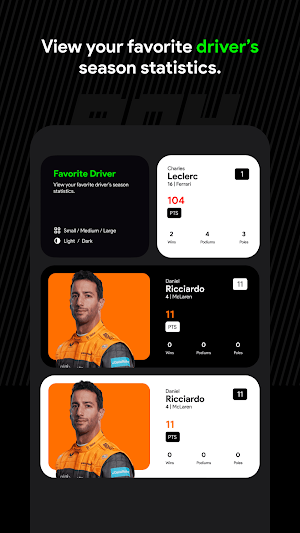 Box Box Widgets Screenshot 3
