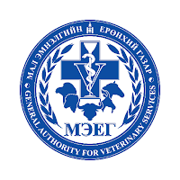 МЭНС 2.0