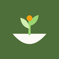 Conscious Kitchen