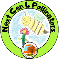 NG4P