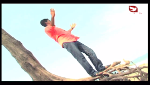 Sirustigar TV Screenshot 3