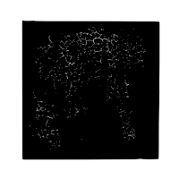 Art Quiz Black & White
