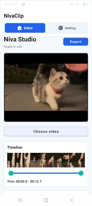 NivaClip Screenshot 2