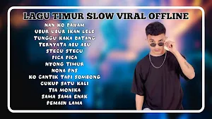Lagu Timur Slow Viral Offline Screenshot 0