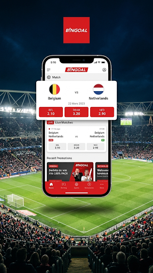 Bingoal Screenshot 0