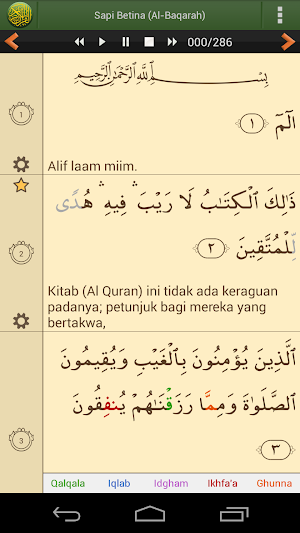 Al'Quran Bahasa Indonesia Advanced Screenshot 1