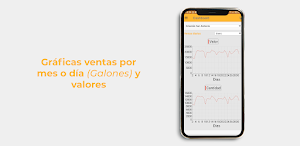 Zencillo Consolidador EDS Screenshot 1