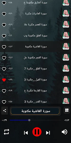 قران علا عقل | 2024 بدون نت Screenshot 1