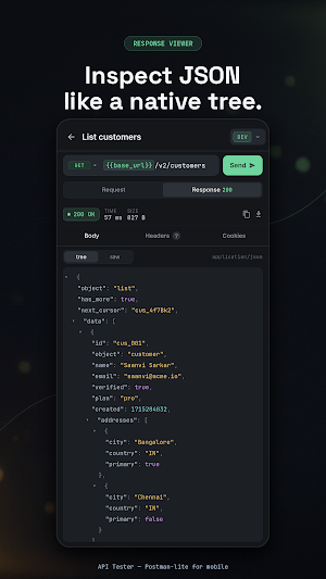 API Tester — HTTP Client Screenshot 2