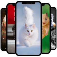 Cute Animal Wallpaper