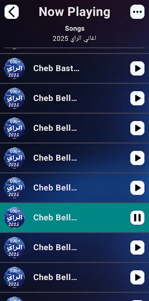 100 Rai Songs | offline Screenshot 2