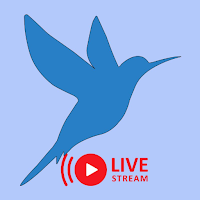 Live Interactive