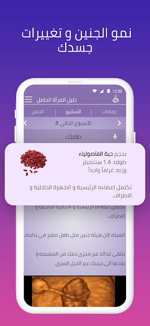 دليل حملي Screenshot 2