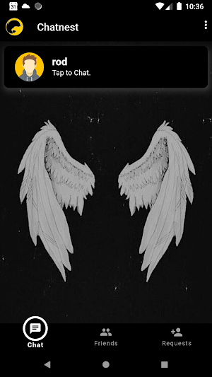 Chat Nest Screenshot 2