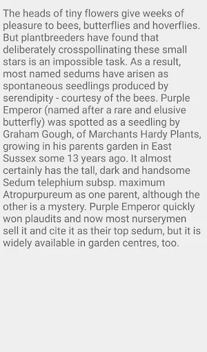 Sedum Purple Emperor Screenshot 2