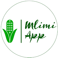 Mlimi