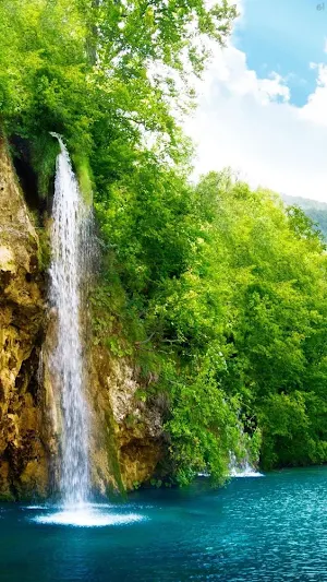 Waterfall Video Wallpapers Screenshot 1