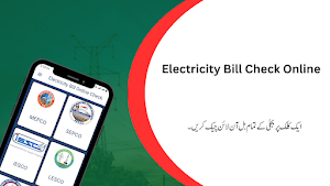 Electricity Bill Online Check Screenshot 0