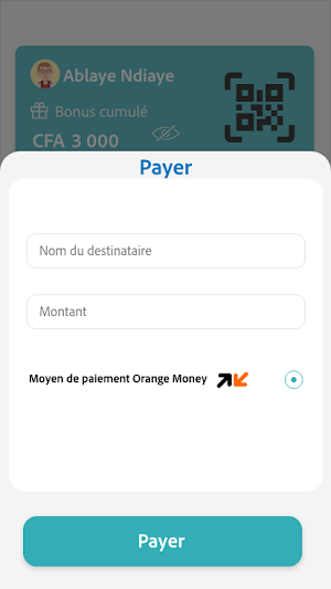 WoyofPay Screenshot 0