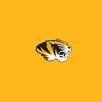 Chapel Hill High Tigers