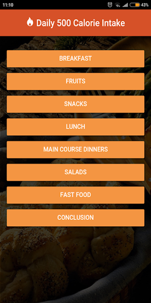 Daily 500 Calorie Intake Screenshot 2