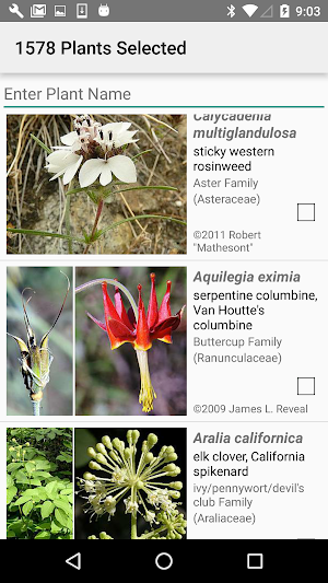 San Francisco Bay Area Wildflowers Screenshot 2