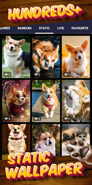 corgi wallpaper Screenshot 3