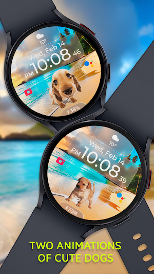 Chester Cute dog watch face Screenshot 2