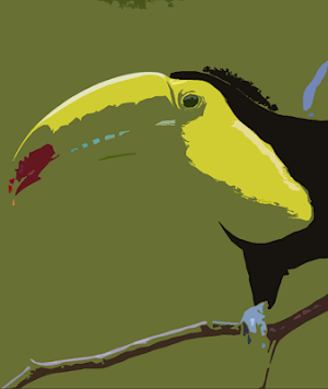 Toucan bird sounds ~ Sboard.pro Screenshot 0