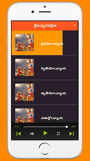 Bhagavad Gita in Telugu Audio Screenshot 2