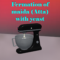 Fermation of maida with yeast