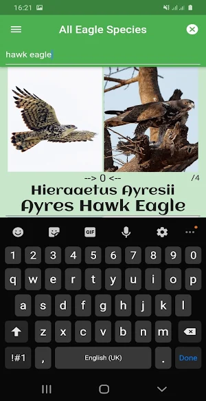 Eagle Attack 2 Screenshot 2