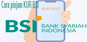 pinjaman kur bsi online tips Screenshot 0