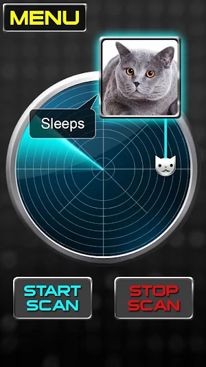 Radar What Makes Cat Joke Screenshot 1
