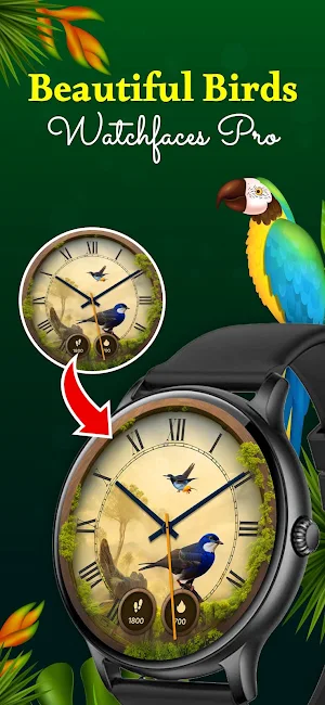 Beautiful Birds Watchfaces PRO Screenshot 0
