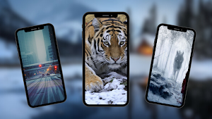 Snow Wallpapers Screenshot 2