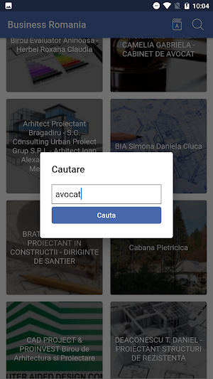 Business Romania Screenshot 3
