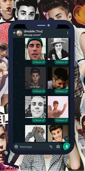 Justin Bieber GIF WASticker Screenshot 3