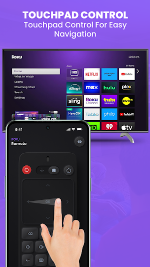 Roku Tv Remote Screenshot 1