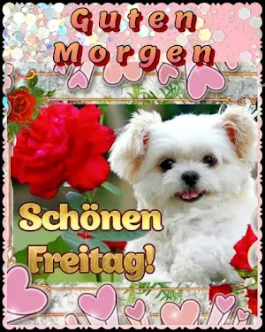 Guten Morgen Freitag Screenshot 0