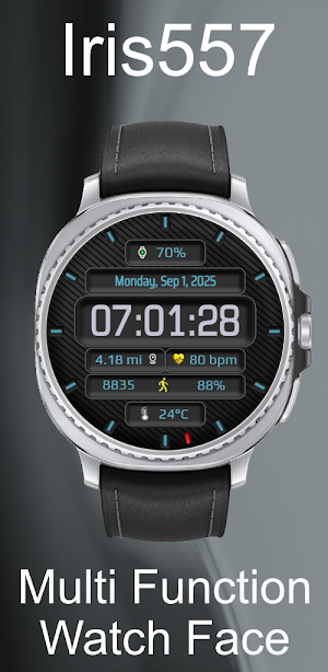 Iris557 Multi-Function Digital Screenshot 2